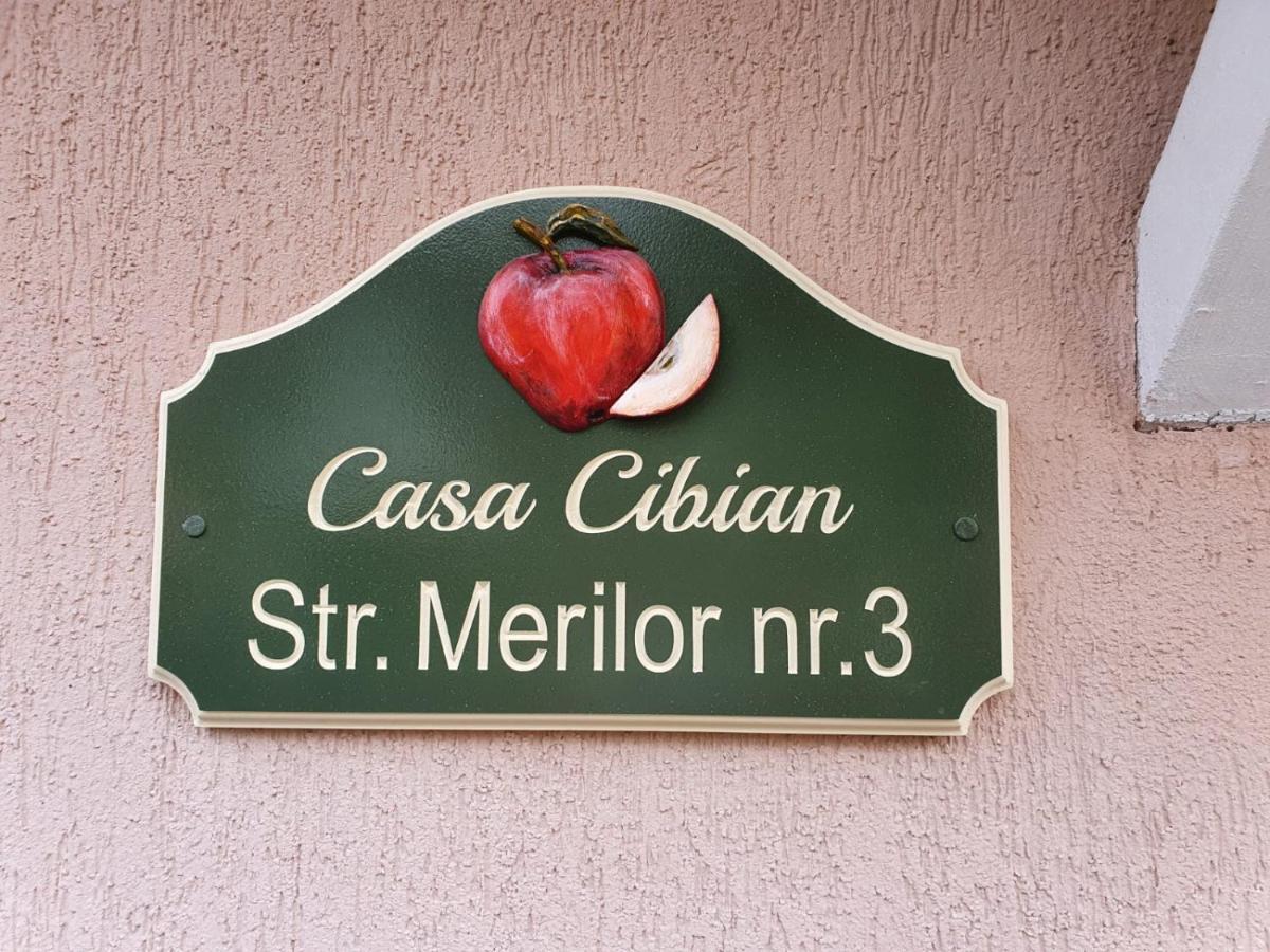 Appartement Casa Cibian à Braşov Extérieur photo