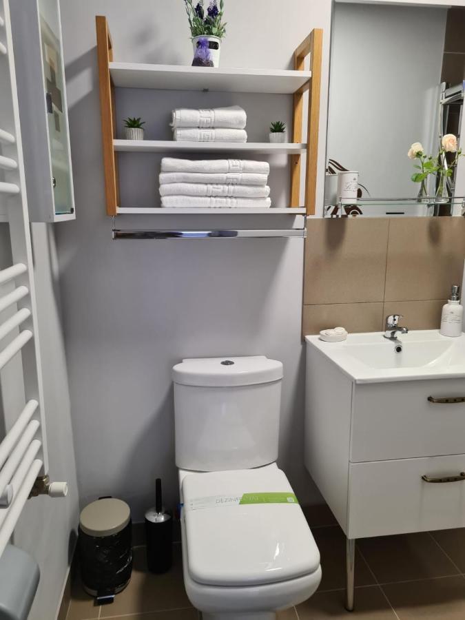 Appartement Casa Cibian à Braşov Extérieur photo