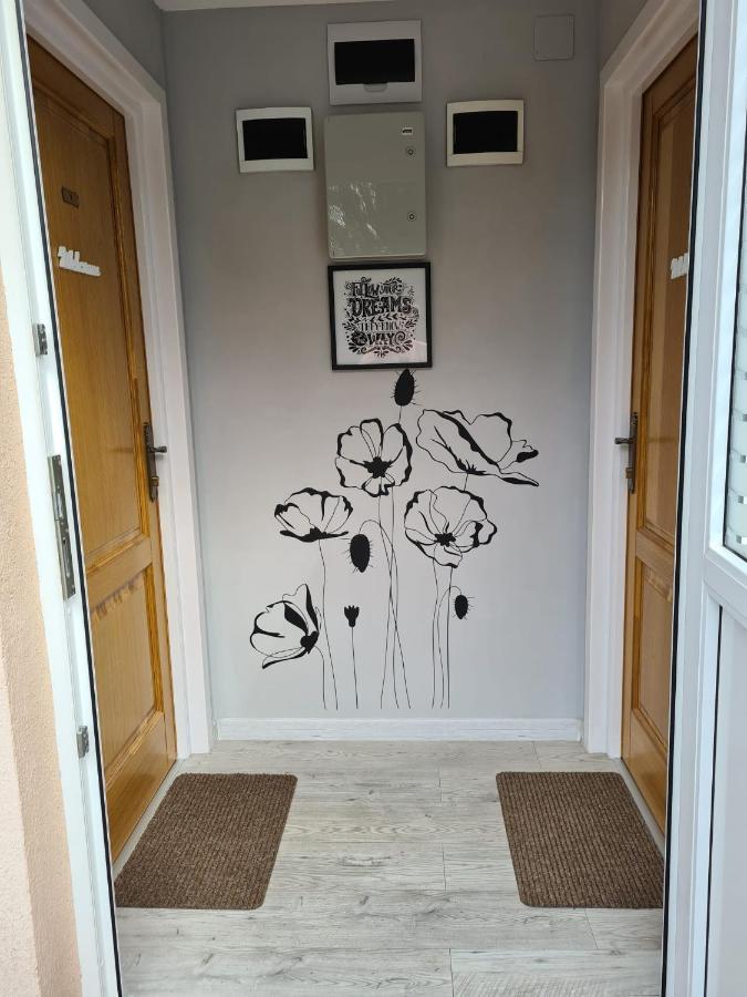 Appartement Casa Cibian à Braşov Extérieur photo